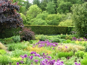 Tess Paterson - Rosemoor