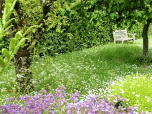 Tess Paterson - Rosemoor colour