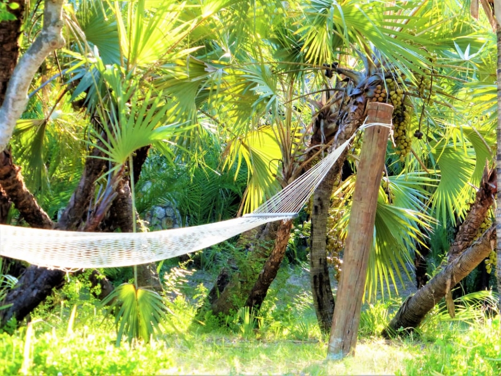 Tess Paterson - Hammock Anantara Bazaruto Lodge