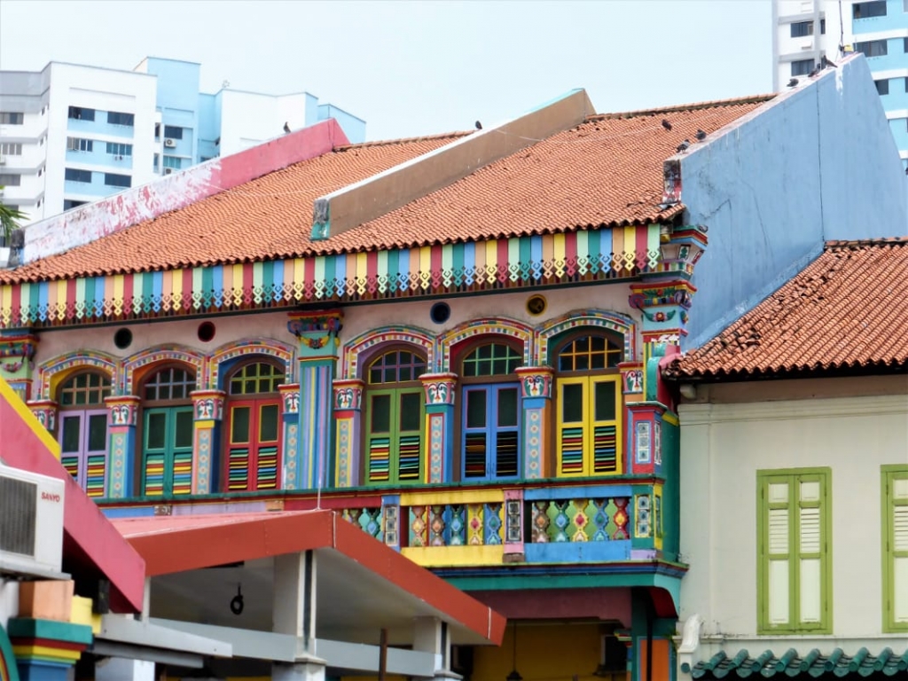 Tess Paterson - Rooves Singapore