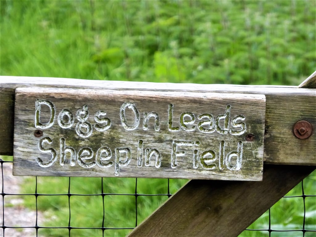 Tess Paterson - Field sign