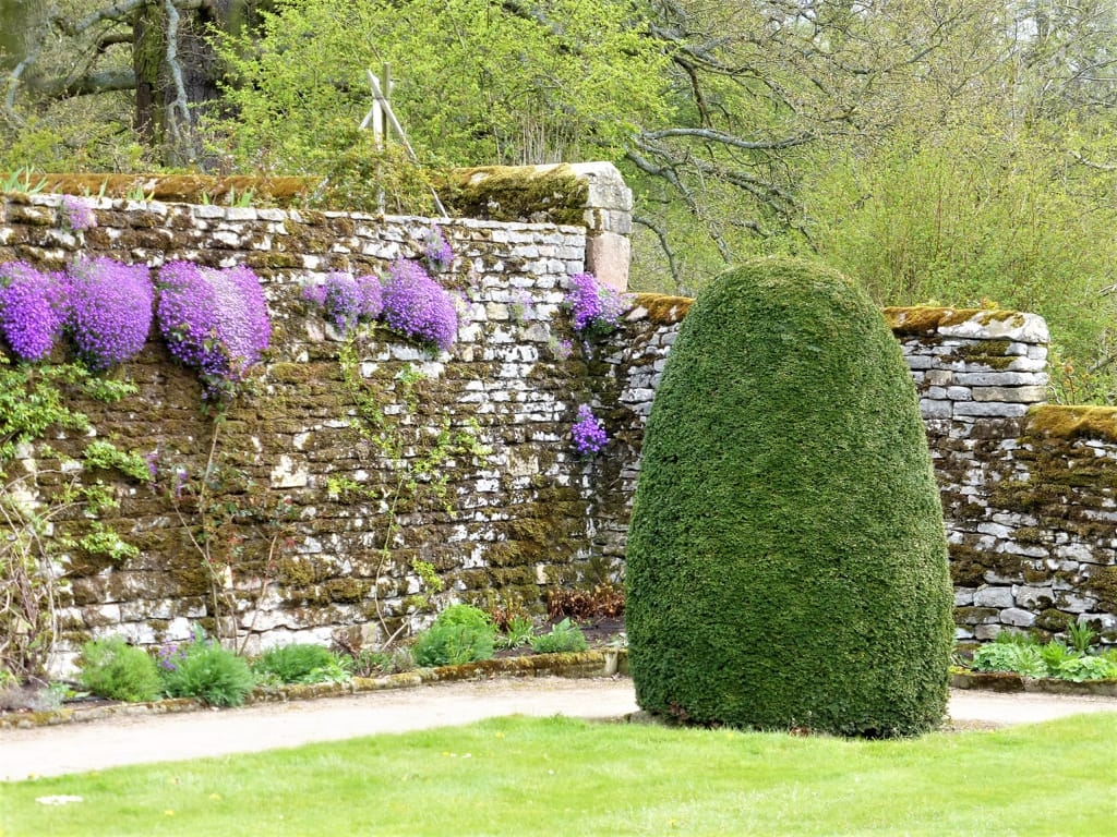 Tess Paterson - Haddon Hall