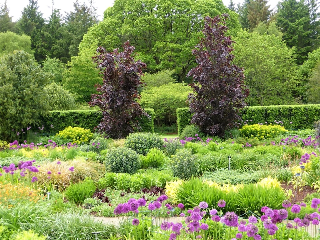 Tess Paterson - Spring colour Rosemoor