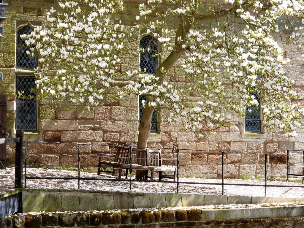 Tess Paterson - Warwick Castle mill