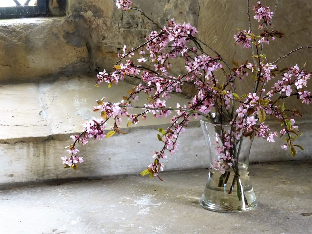 Tess Paterson - Window Haddon Hall