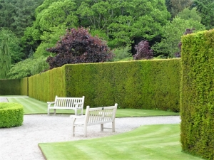 Tess Paterson - Green walls, RHS Rosemoor